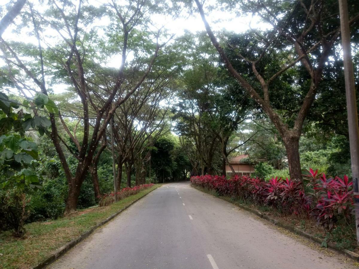 Janaview Taiping Hotel Εξωτερικό φωτογραφία